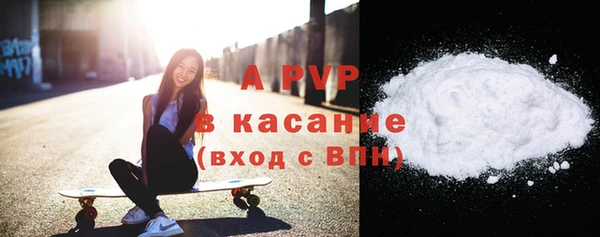 эйфоретик Богданович