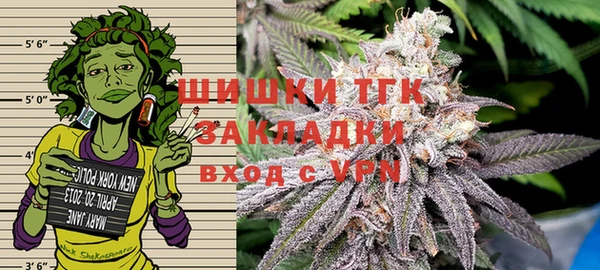 эйфоретик Богданович