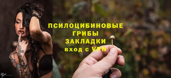 Альфа ПВП Богородицк