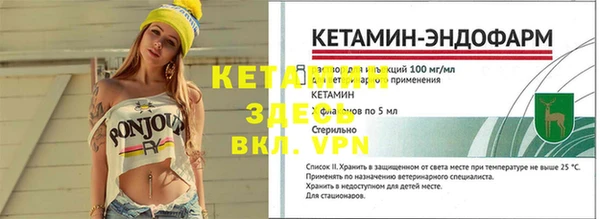 эйфоретик Богданович