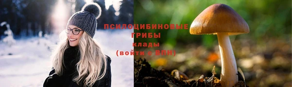 шишки Бронницы