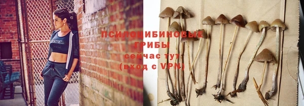 mdpv Бугульма