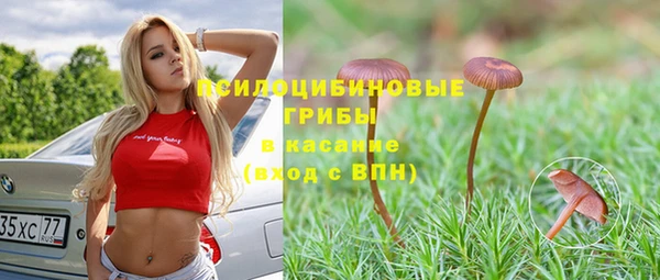 mdpv Бугульма