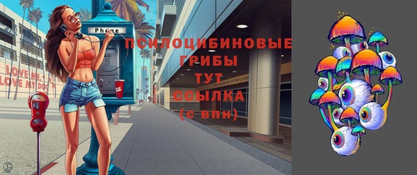 прущий лед Богородск